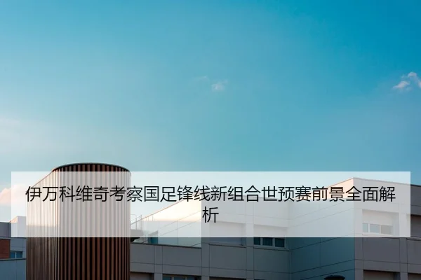 伊万科维奇考察国足锋线新组合世预赛前景全面解析